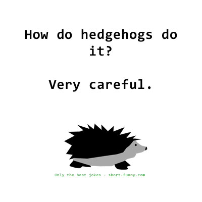 Hedgehog Joke