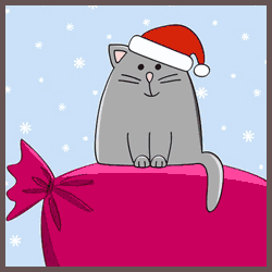 Funny Christmas Cat