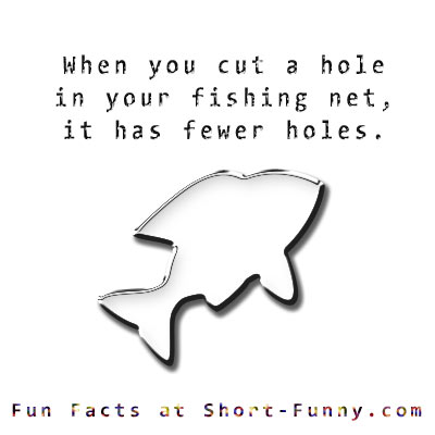 Fun Fact Fish
