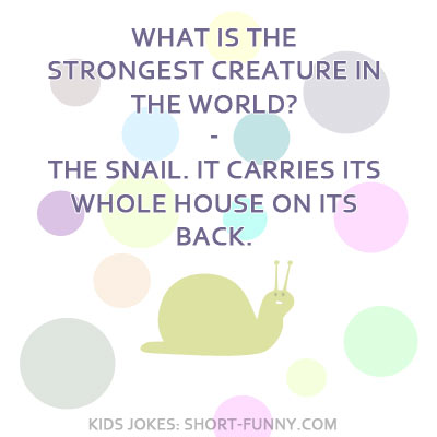 Best Clean Jokes Ever For Kids