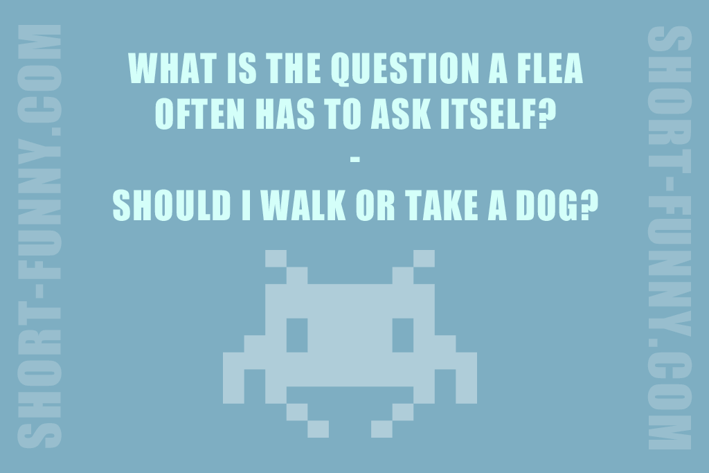 The Flea Dilemma Joke