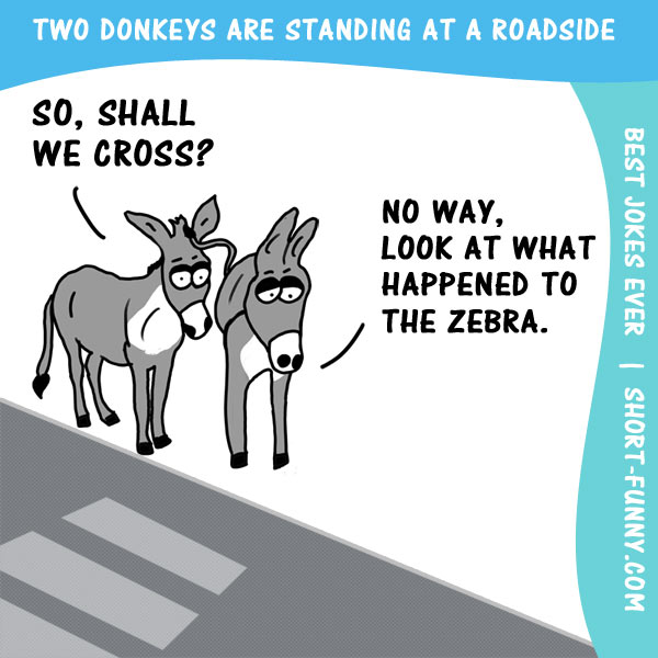 Funny joke with two donkeys