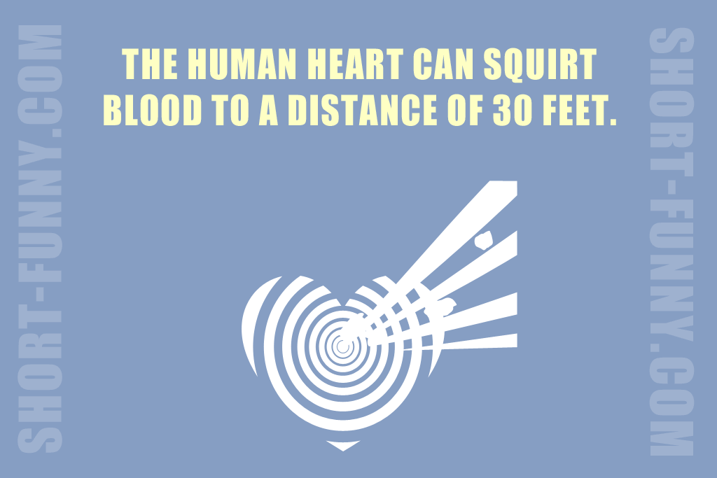 Shocking Human Body Fun Fact
