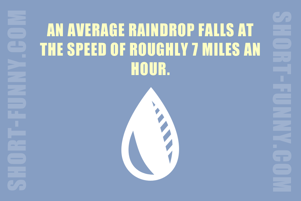 Amazing rain fun fact