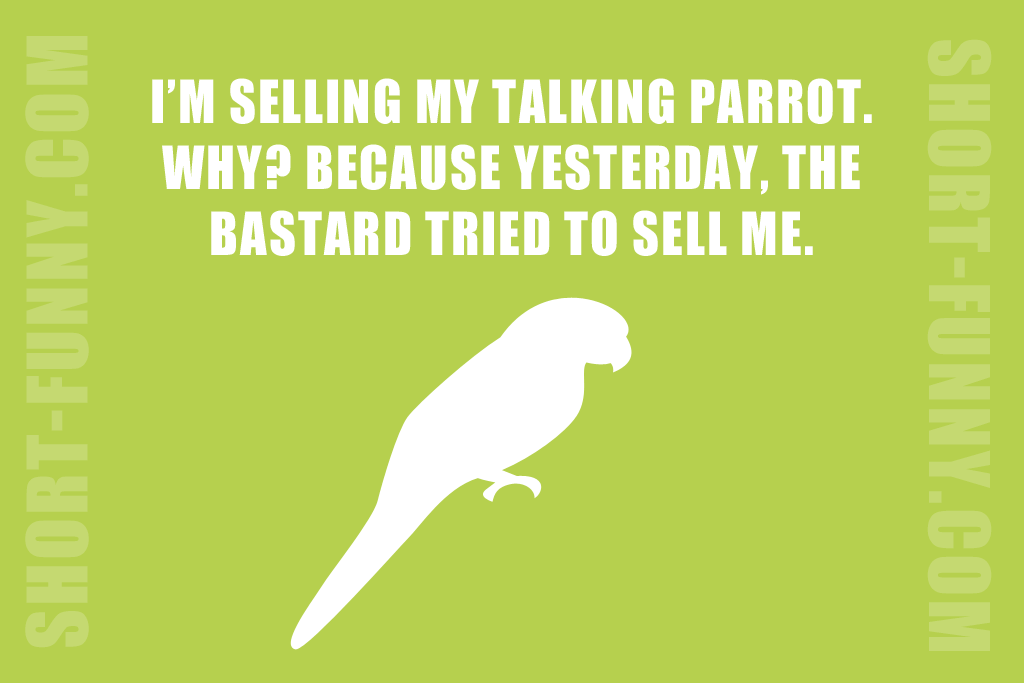 Parrot