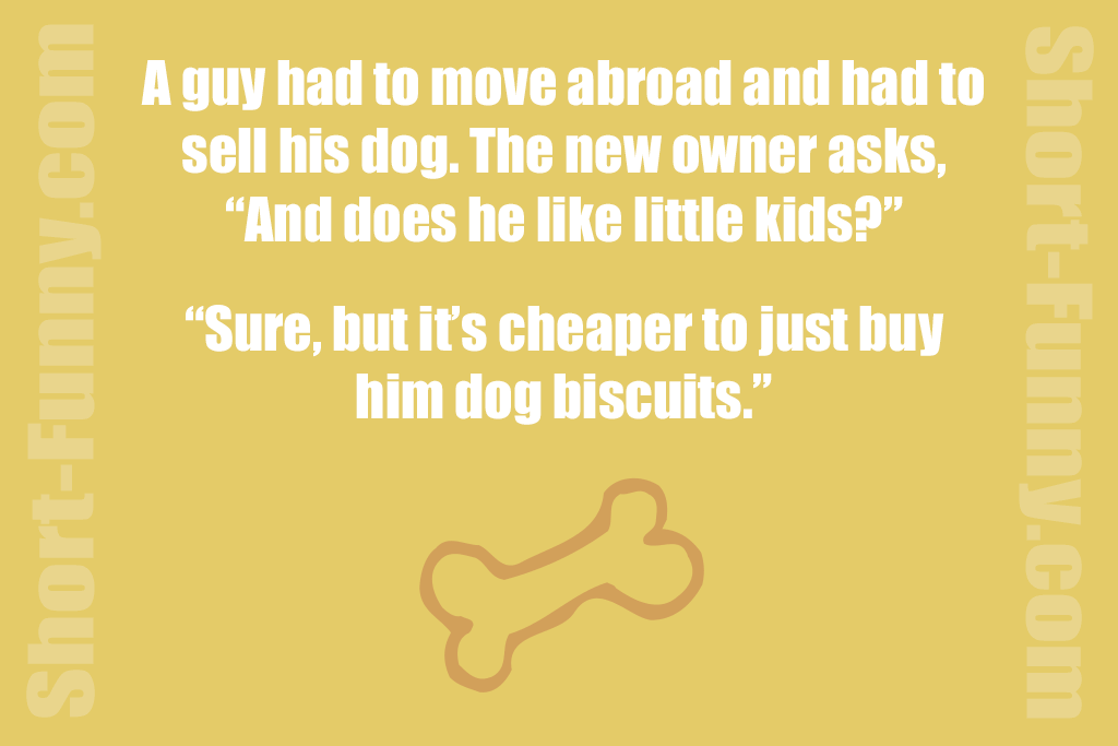 Dog Food Dilemma Humor